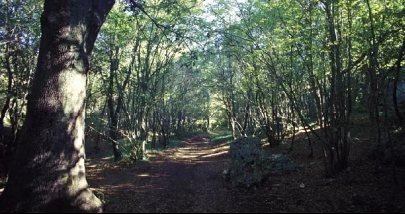 Via Ellenica - Terra delle Gravine (Tappa 1)