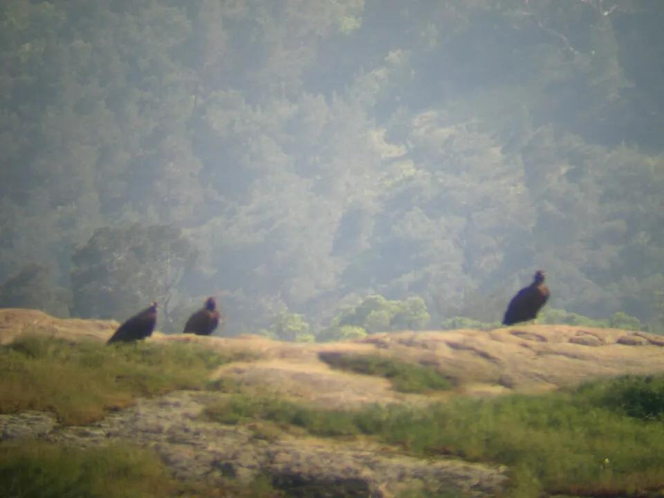 Blue Trail: Gibrena Peak