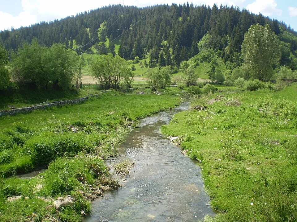 Bozdag E