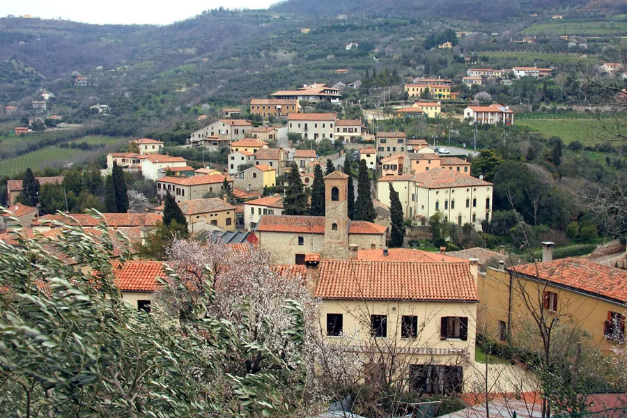 Il Cammino dell'Alleanza