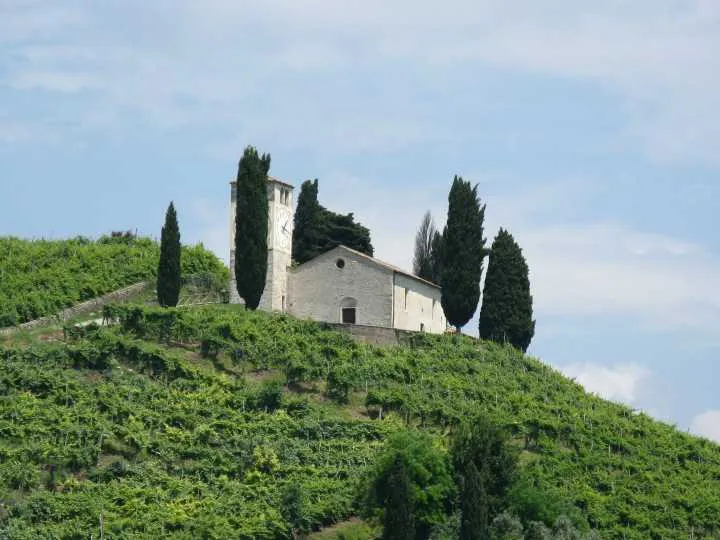 La Biodiversità
