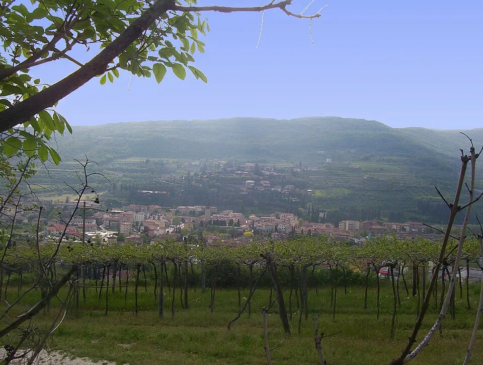 Giro in bici dei monti Castello e Santa Viola