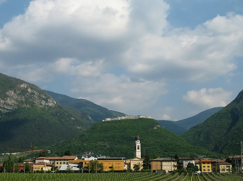Lila e la magia del bosco