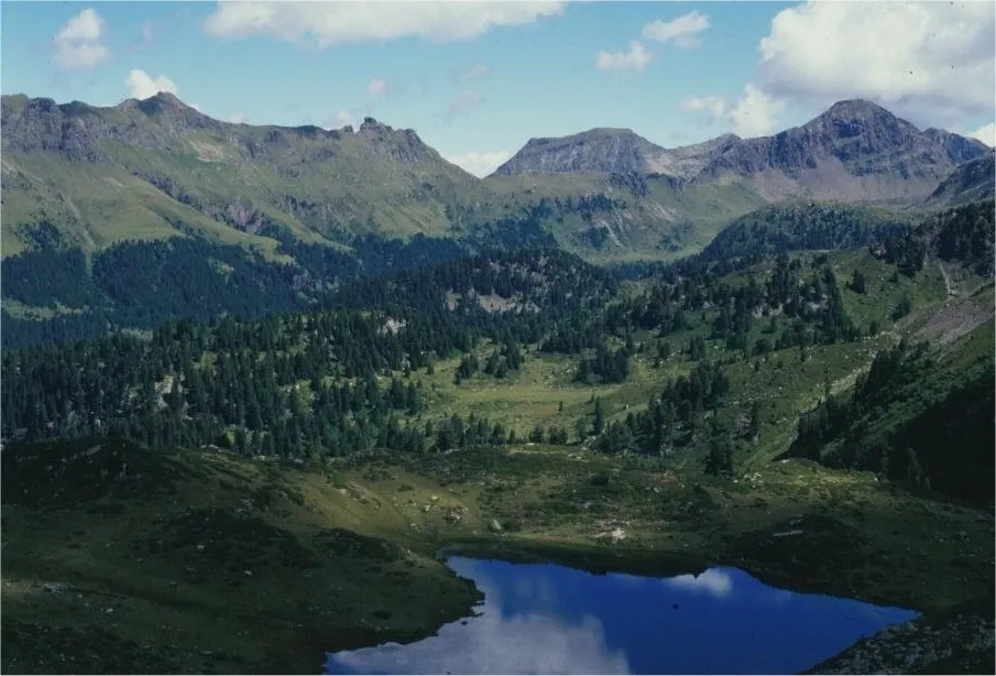 Sentiero della Tognola